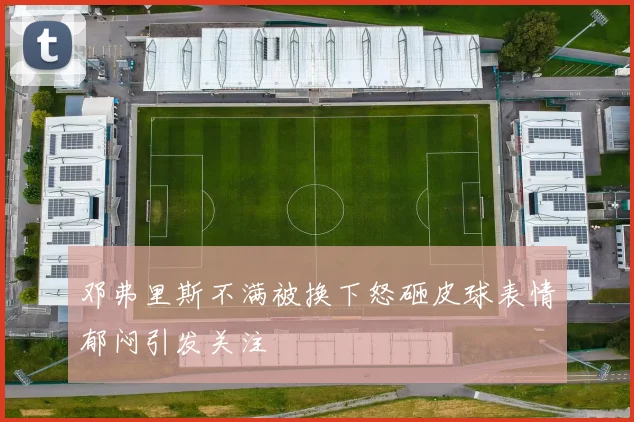 邓弗里斯不满被换下怒砸皮球表情郁闷引发关注