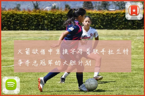 火箭欲借申京换字母哥联手杜兰特争夺总冠军的大胆计划