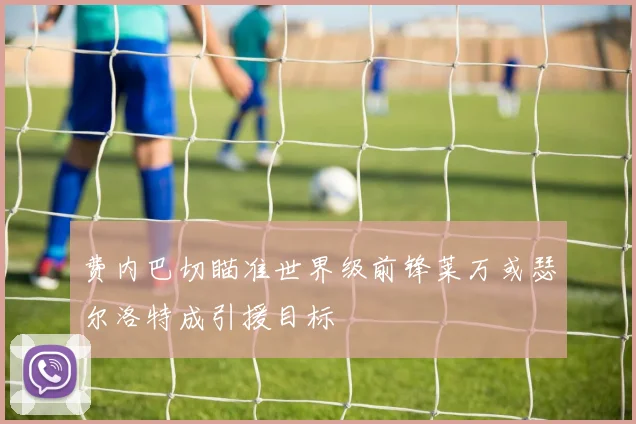 费内巴切瞄准世界级前锋莱万或瑟尔洛特成引援目标