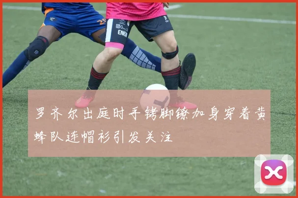 罗齐尔出庭时手铐脚镣加身穿着黄蜂队连帽衫引发关注
