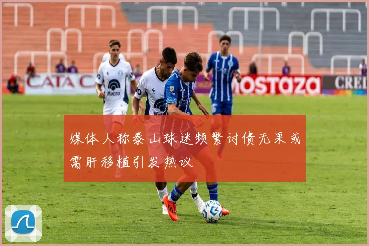 媒体人称泰山球迷频繁讨债无果或需肝移植引发热议