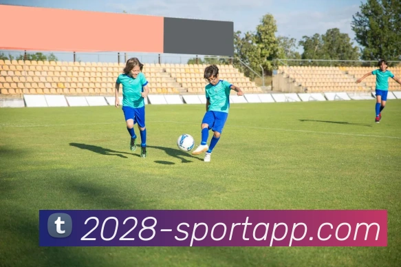 2028体育平台生态图